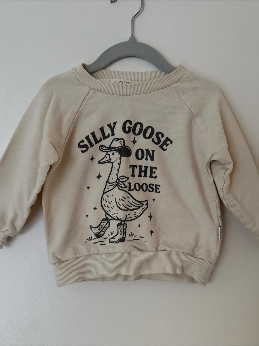 Silly Goose 2T Beige Graphic Sweatshirt